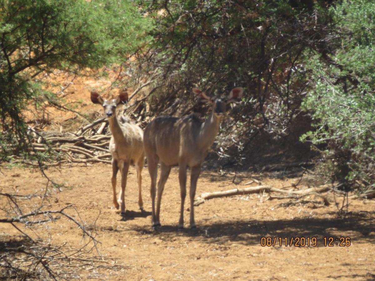 Linduli Farmstay Cradock Kültér fotó